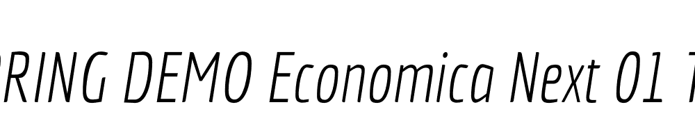  DEMO Economica Next 01 Thin Italic