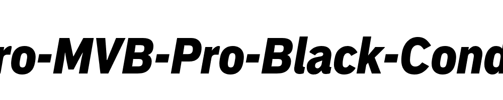 Embarcadero-MVB-Pro-Black-Condensed-Italic