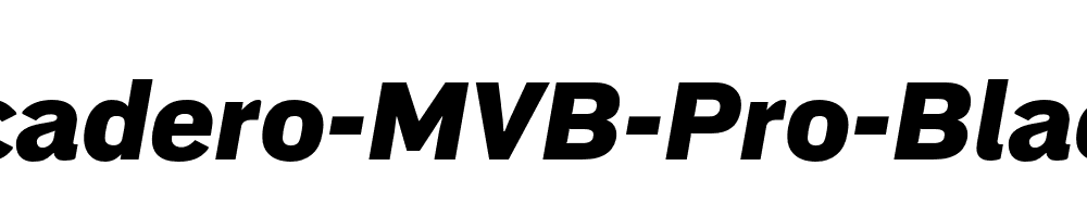 Embarcadero-MVB-Pro-Black-Italic