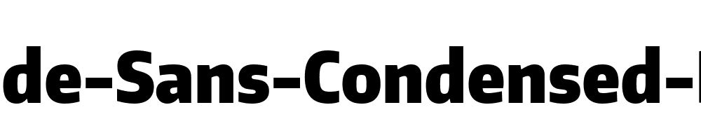 Encode-Sans-Condensed-Black