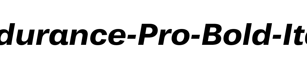 Endurance-Pro-Bold-Italic