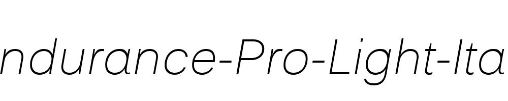 Endurance-Pro-Light-Italic