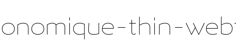 ergonomique-thin-webfont