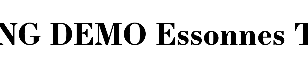  DEMO Essonnes Text Regular