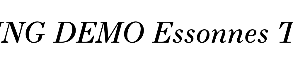  DEMO Essonnes Text Regular