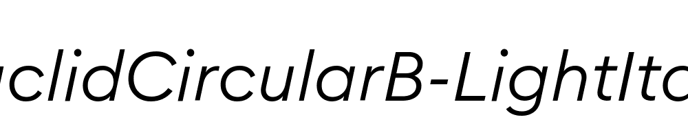 EuclidCircularB-LightItalic