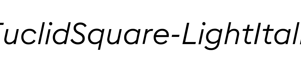 EuclidSquare-LightItalic