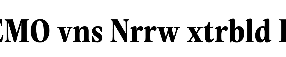 FSP DEMO vns Nrrw xtrbld Regular