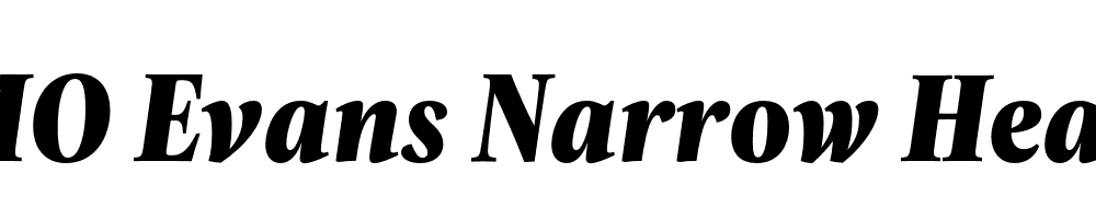 FSP DEMO Evans Narrow Heavy Italic