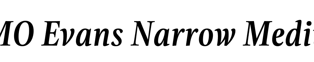 FSP DEMO Evans Narrow Medium Italic