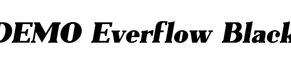 FSP DEMO Everflow Black Italic