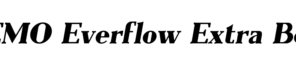 FSP DEMO Everflow Extra Bold Italic