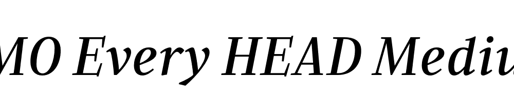 FSP DEMO Every HEAD Medium Italic