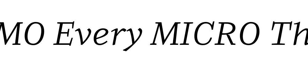 FSP DEMO Every MICRO Thin Italic