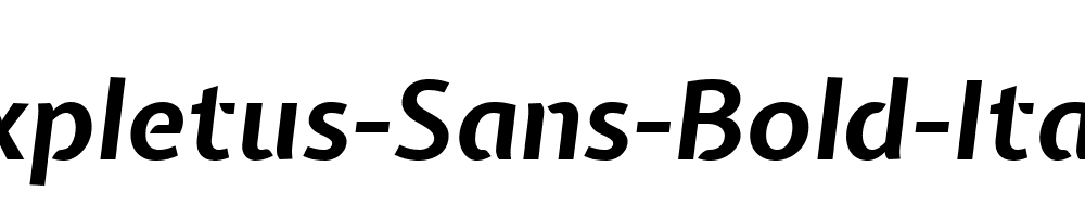 Expletus-Sans-Bold-Italic