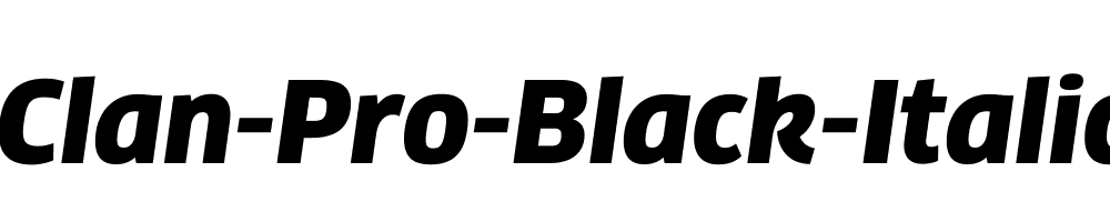 Clan-Pro-Black-Italic