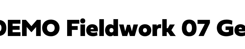  DEMO Fieldwork 07 Geo Black Regular