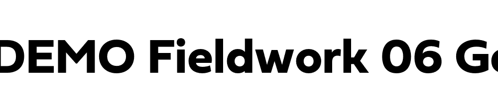  DEMO Fieldwork 06 Geo Bold Regular