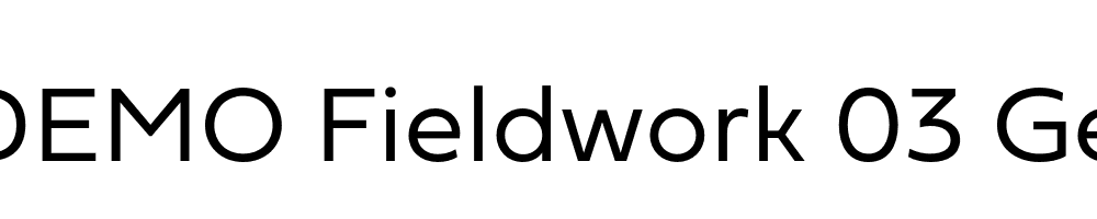  DEMO Fieldwork 03 Geo Light Regular