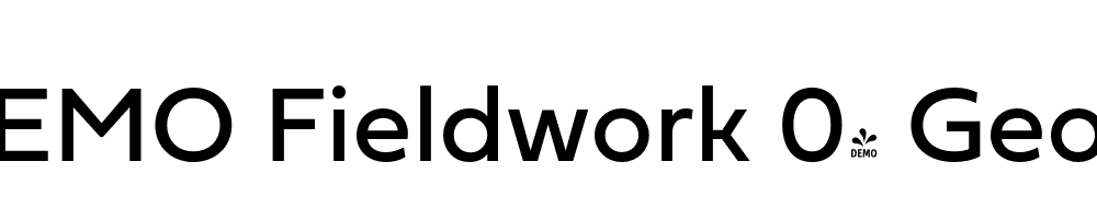  DEMO Fieldwork 04 Geo Regular Regular