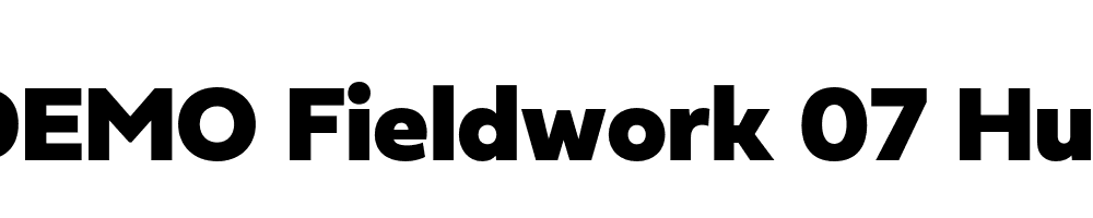  DEMO Fieldwork 07 Hum Black Regular
