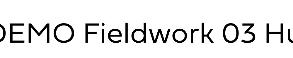  DEMO Fieldwork 03 Hum Light Regular