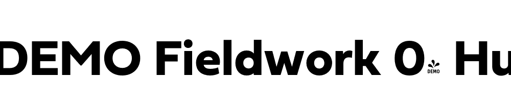  DEMO Fieldwork 04 Hum Regular Bold