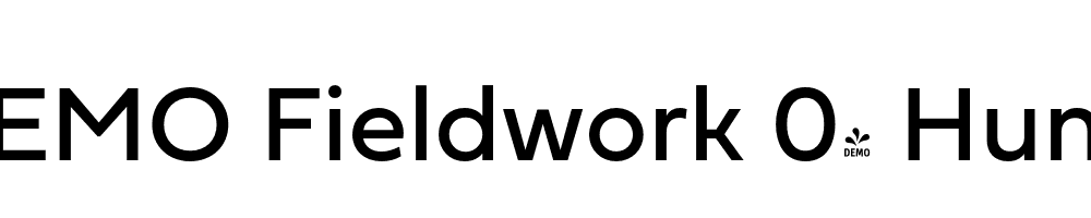  DEMO Fieldwork 04 Hum Regular Regular
