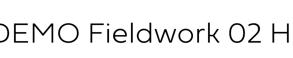  DEMO Fieldwork 02 Hum Thin Regular