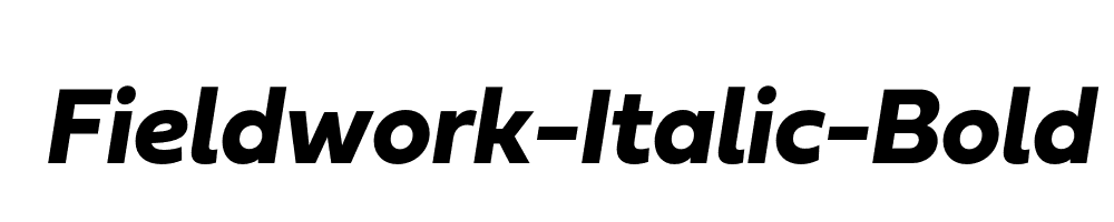 Fieldwork-Italic-Bold