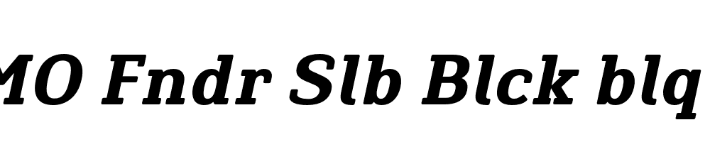 FSP DEMO Fndr Slb Blck blq Regular