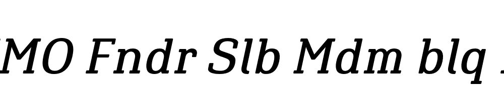 FSP DEMO Fndr Slb Mdm blq Regular