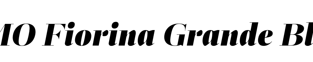 FSP DEMO Fiorina Grande Black Italic