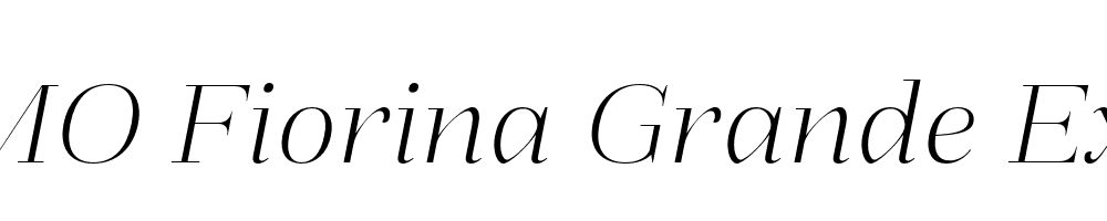 FSP DEMO Fiorina Grande ExtLt Italic