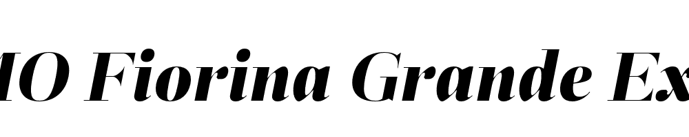 FSP DEMO Fiorina Grande ExtBd Italic