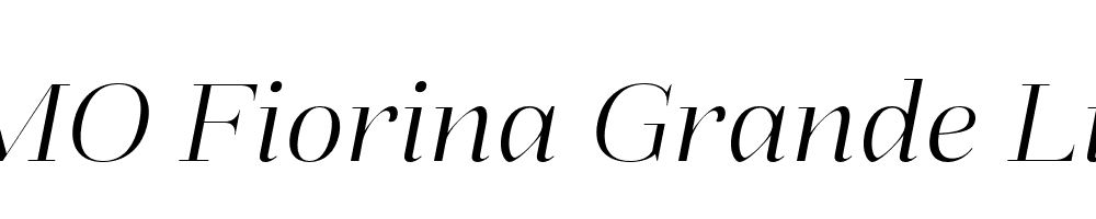 FSP DEMO Fiorina Grande Light Italic