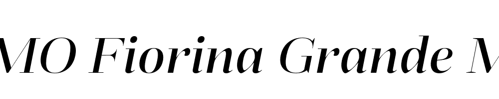 FSP DEMO Fiorina Grande Med Italic