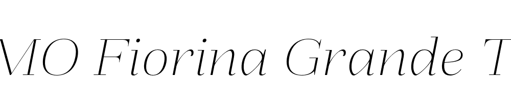 FSP DEMO Fiorina Grande Thin Italic