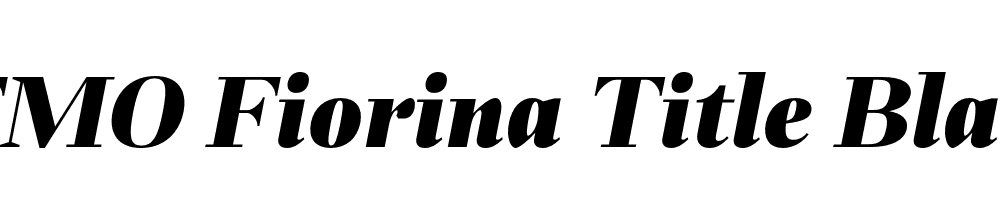 FSP DEMO Fiorina Title Black Italic