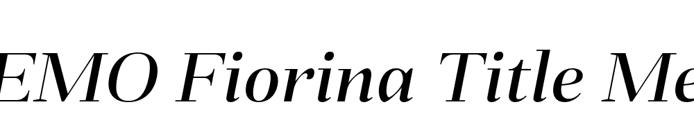 FSP DEMO Fiorina Title Med Italic