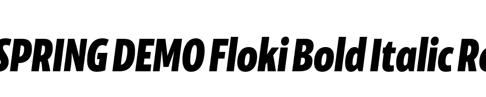  DEMO Floki Bold Italic Regular