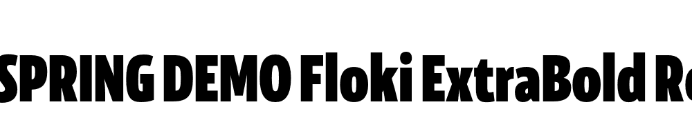  DEMO Floki ExtraBold Regular