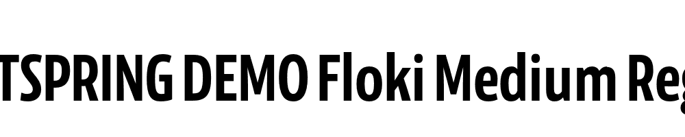  DEMO Floki Medium Regular