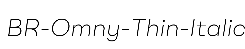 BR-Omny-Thin-Italic