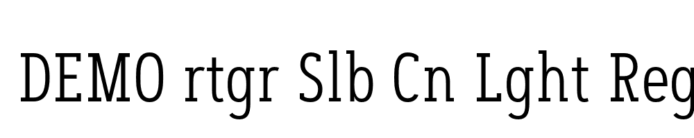 FSP DEMO rtgr Slb Cn Lght Regular