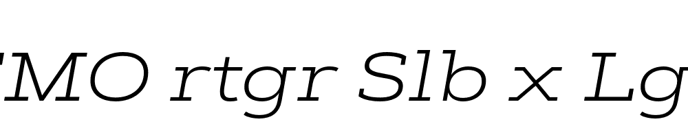 FSP DEMO rtgr Slb x Lght Italic