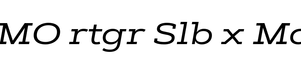 FSP DEMO rtgr Slb x Mdm Italic