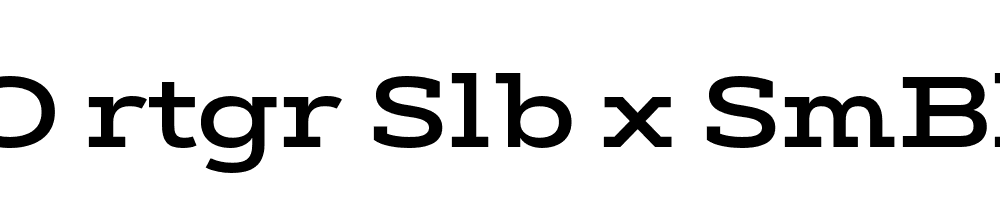 FSP DEMO rtgr Slb x SmBld Regular