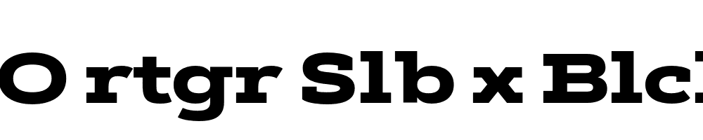 FSP DEMO rtgr Slb x Blck Regular