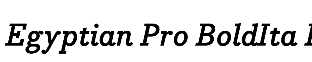 Bodoni Egyptian Pro BoldIta Regular